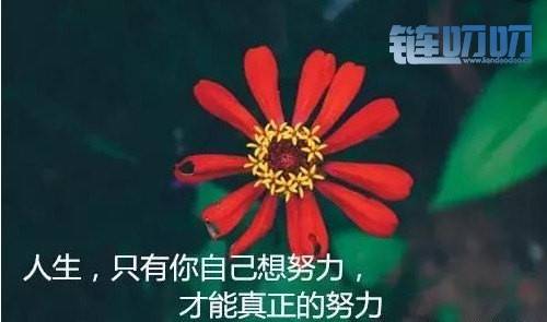 赑屃：货币投资为什么你总捞不到一杯羹！！！
