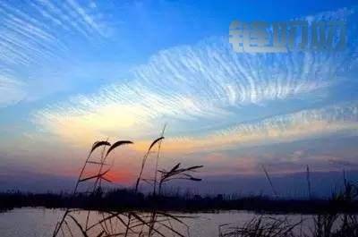 林芩论币:数字货币投资选择大于努力，扭亏为盈一念之间
