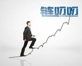 赑屃：数字货币投资法则