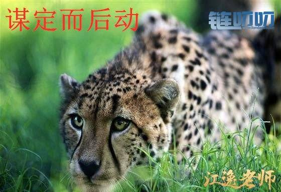 【江逸老师】：讲点投资者在交易里真正需要的东西，亏...
