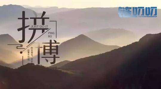 币圈栗子：说说投资那些事儿——单子被套如何应对？