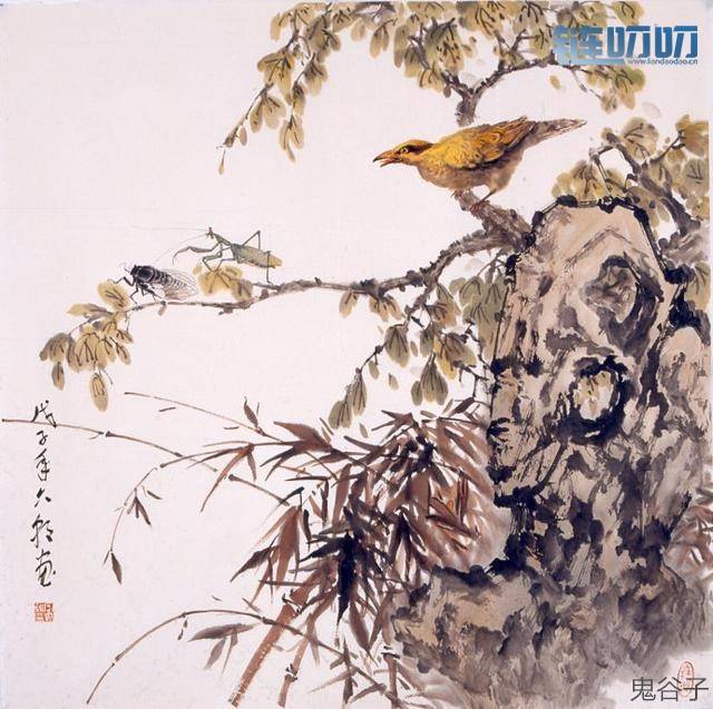 比特币回踩5000美金，后市该怎么做