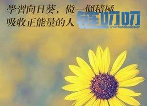 币圈栗子：4.12午间BTC行情分析——心态，决定生活的苦与甜