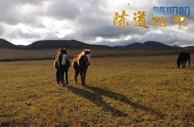 陈道论币：4.12 数字货币投资想要成功，先找一块垫脚石稳...