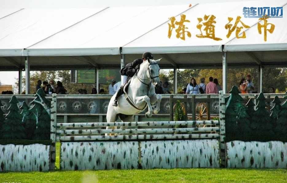 陈道论币：4.12 数字货币投资想要成功，先找一块垫脚石稳...