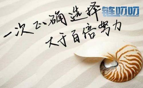 【犇犇盘币】货币投资心态决定成败，选择决定命运