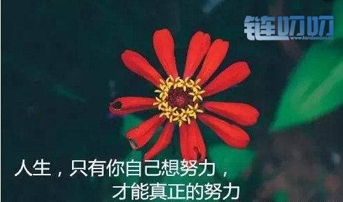 赑屃：数字货币投资难在哪里？？？