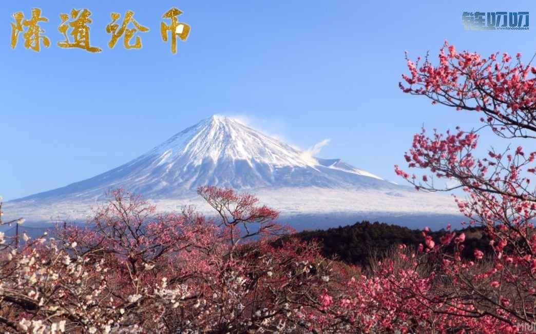 【陈道论币】：4.15比特币行情再次打破震荡，牛市里在战5...