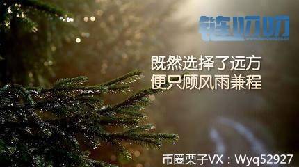 币圈栗子：为什么你观望时总是赚，而操作时总是亏！