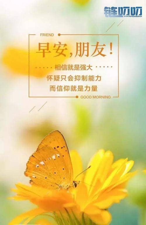 【币圈栗子】：如何在投资中提升心态
