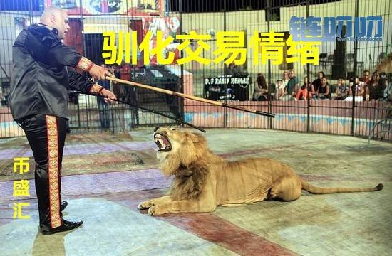 币盛汇：4/16比特币等主流币震荡回调，下波行情的临近驯...