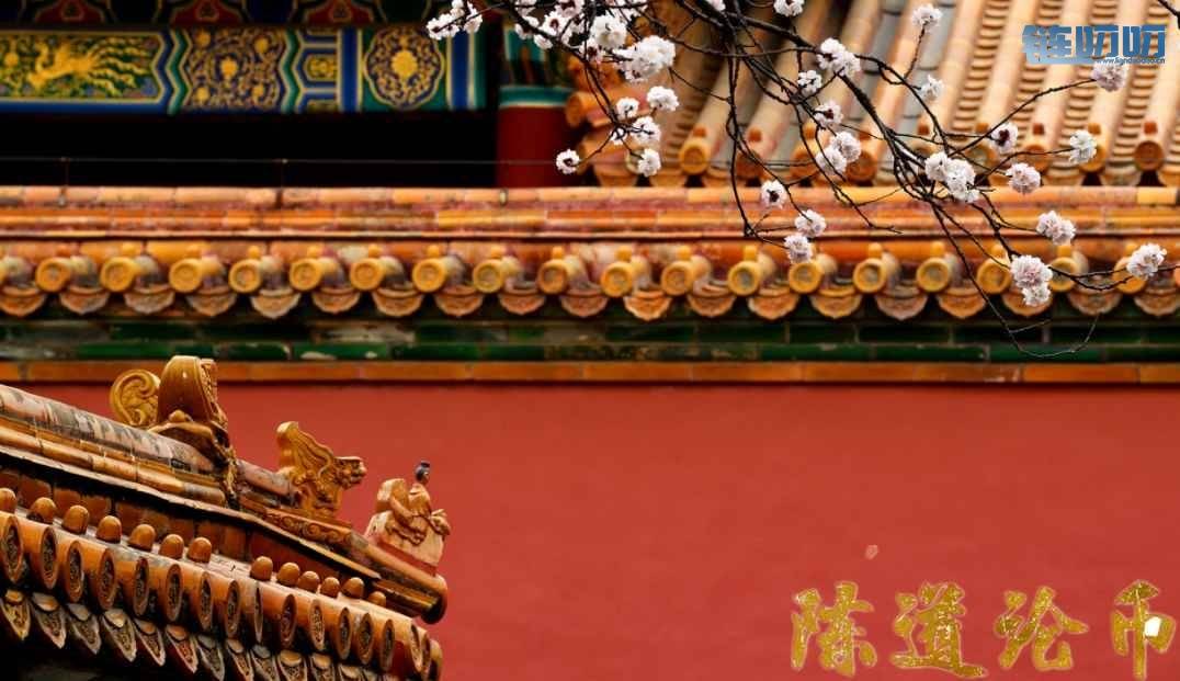 【陈道论币】：4.17比特币跌宕起伏，敏锐的嗅觉＋稳重的...