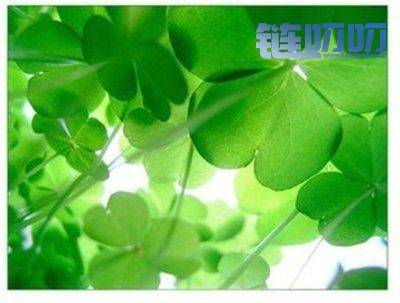 赑屃：投资数字货币汪洋大海  你能否乘风破浪？？