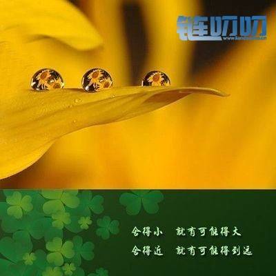 盈盈评币：数字货币投资不掌握投资核心技巧，你怎么赚...