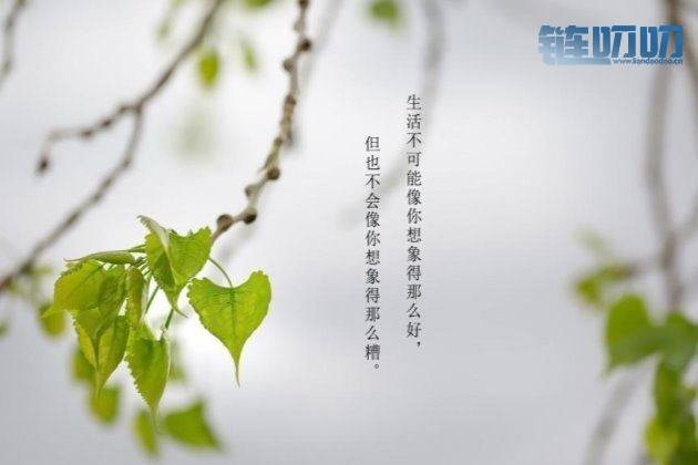 【陳老师论币圈】：4.27主流货币拉升回调，是机遇还是陷...