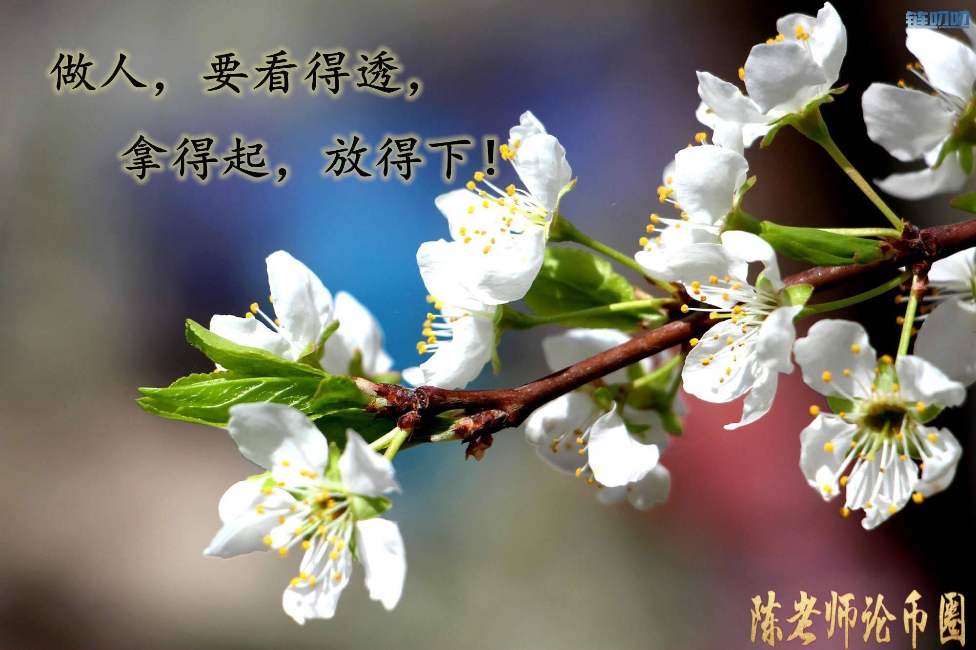 【陳老师论币圈】：新手在数字货币投资技巧，也是你连...