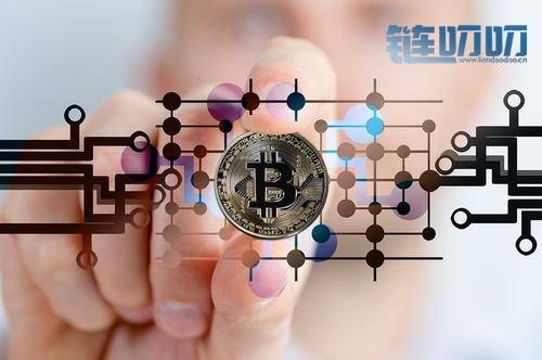 币圈王也：做投资其实没什么技术，就像种菜一样，春播...