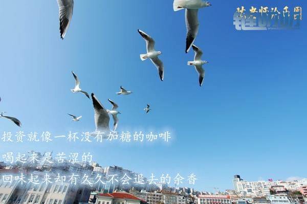 【陳老师论币圈】：投资掌握技巧，陳晨教你如何才能在...