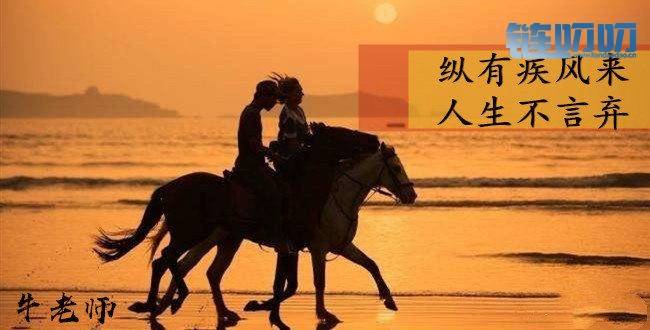 【牛老师】5.16行情分析，比特币涨跌几百点的利润你把握...