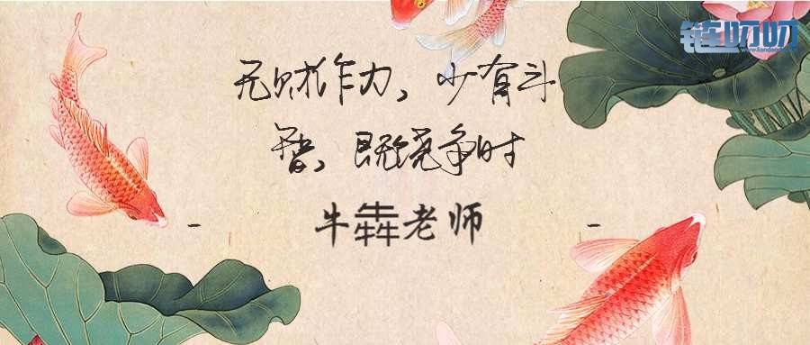【牛犇老师】屯币的人说合约不能玩，你怎么看？