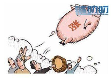 盈盈评币：5.16比特币暴涨后连续两日遭资金抛售，下跌势...