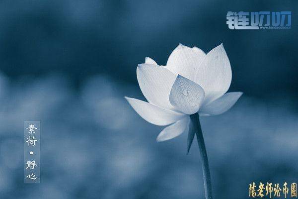【陳老师论币圈】：5.23主流货币行情解析，变盘在即你准...