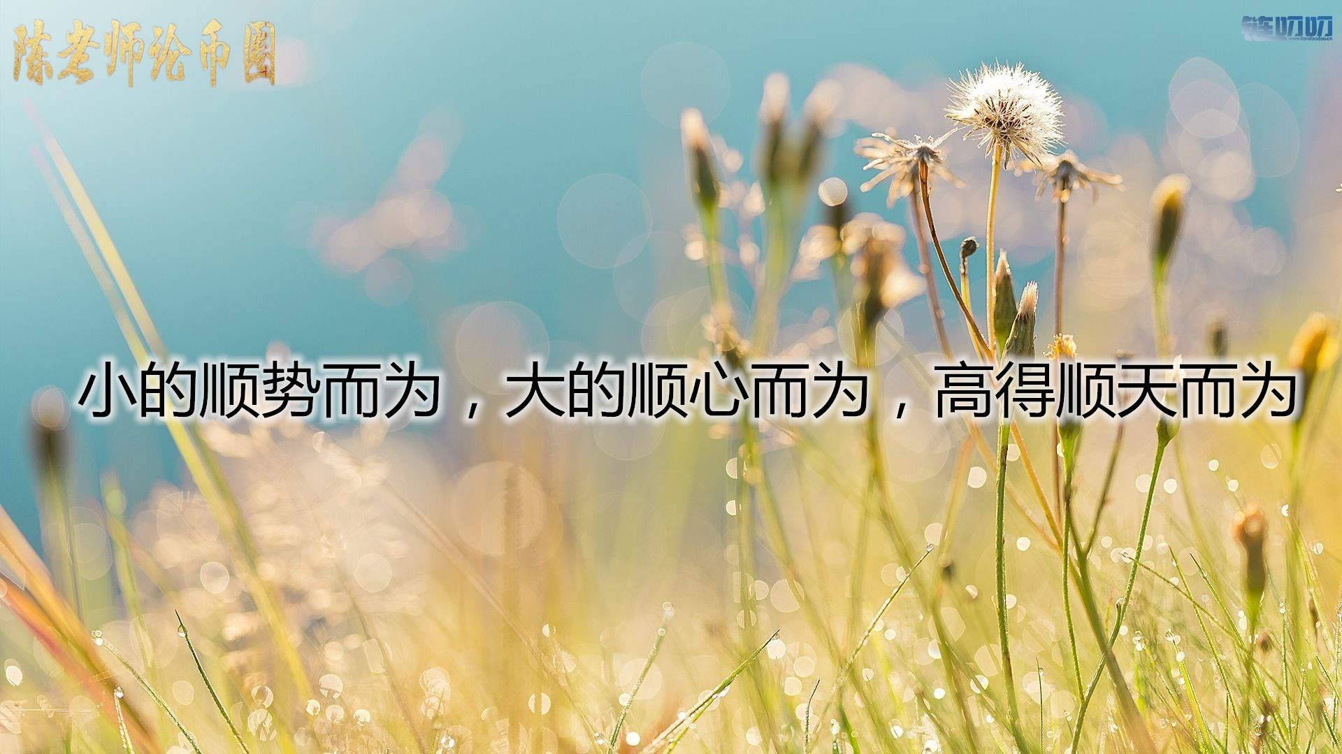 【陳老师论币圈】：陳晨教你币圈投资不可有的四种心态！