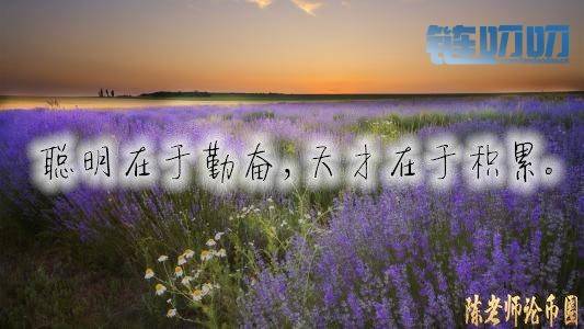 【陳老师论币圈】：5.30比特币稳站8500美金，有望测试9000...