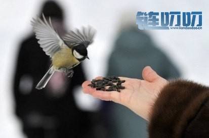 嘉蔚品币：6.18比特币面对突如其来的意外顺势做的单子损...