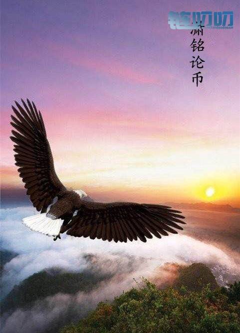 【潇铭论币】：正确的交易心态，让你的投资之路不再崎...