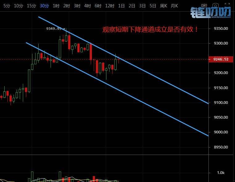 币谨言行 6.20 BTC遭史上最严监管，能否扛起币圈大旗？