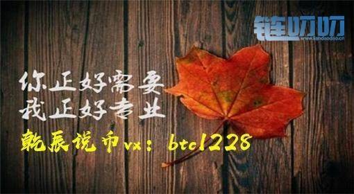 乾辰说币：选择大于努力跟随源于信任