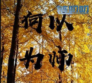 陈道论币：何以为师？比特币震荡行情中取利润，教你做...