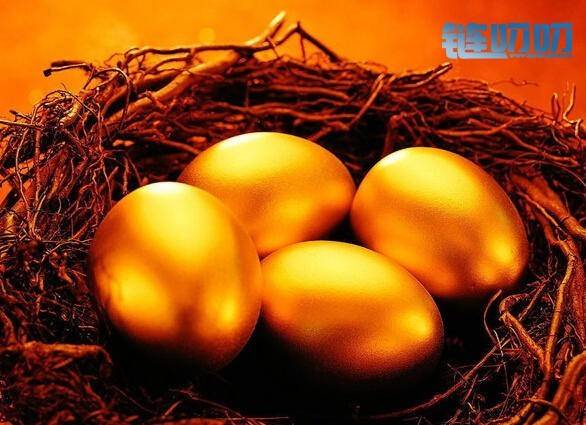 币成功：市场这么火爆！新手更应该注意哪些？