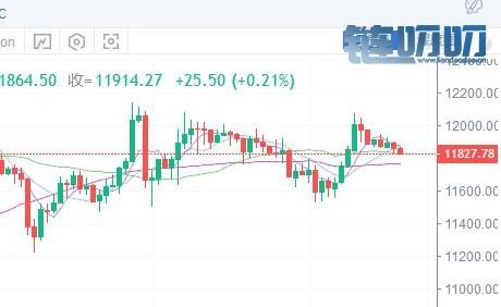 姚岚说币圈8.9 比特币行情分析 宽幅震荡行情该怎样操作