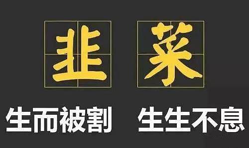 江军论币：炒币技巧与心态......江军干货少走弯路......