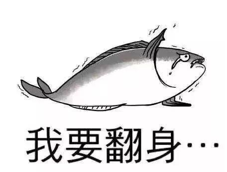 杨凯：笑谈比BTC还贵的YFI  聊聊它凭啥比币王还拽