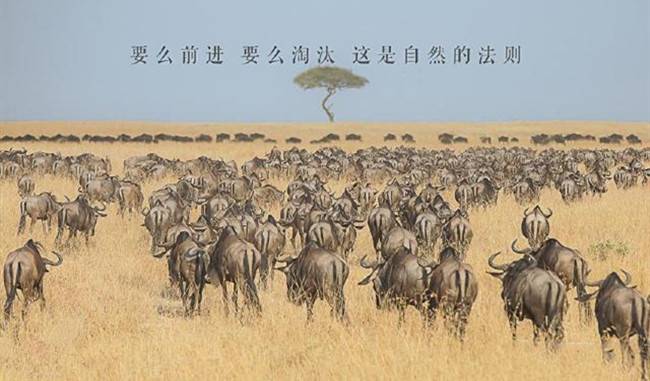 金币辰：8.4比特币短线走弱还有新低36000见 以太坊震荡偏空
