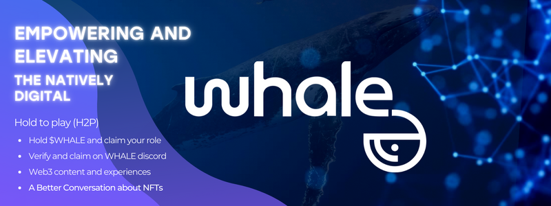WHALE 会员指南（第 2 部分）