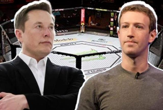 【动态】热点关注不断，SocialFi生态势头稳健朝前