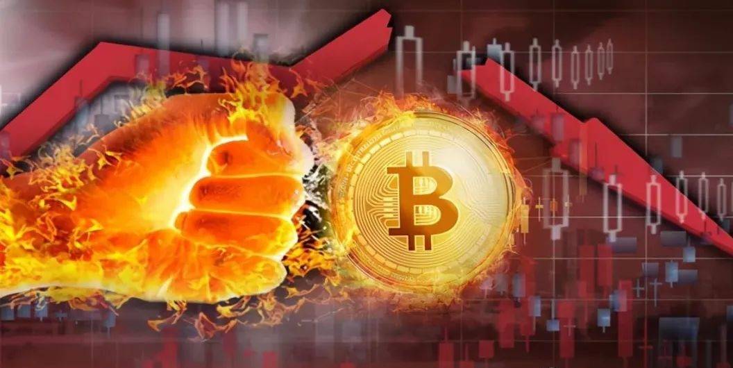 现在的市场，我们怎么选择属于自己的一级币
