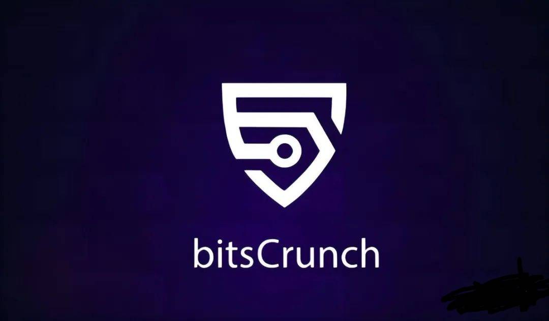 CoinList 最新项目 BitsCrunch是不是NFT的侦探
