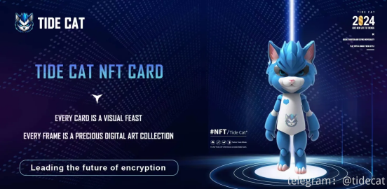 Tide Cat's trendy cat ecology has strong development momentum, leading the new trendy play era