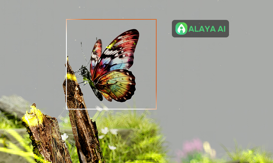 Alaya AI 用自动化解决方案革新数据标注行业